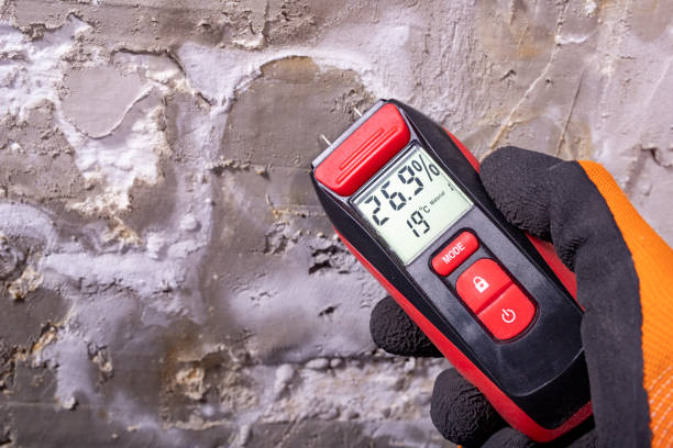Best Attic Mold Removal  in Westvle, IL