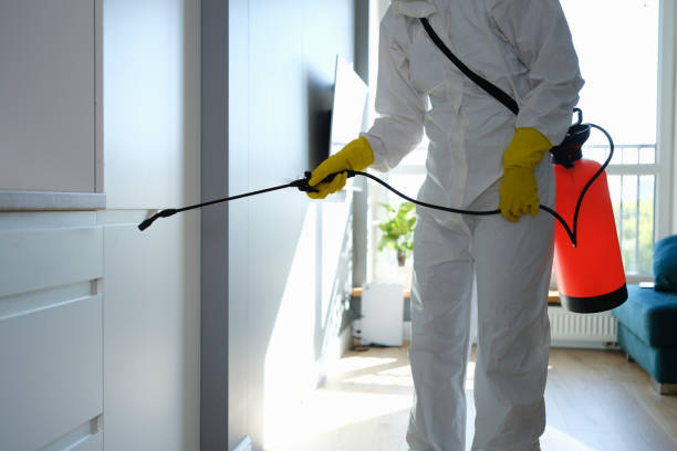 Best Mold Removal Near Me  in Westvle, IL