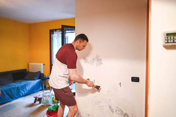 Best Office Mold Removal Services  in Westvle, IL