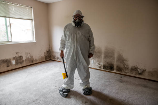 Best Office Mold Removal Services  in Westvle, IL